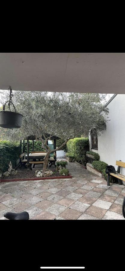 Da Laura Villa Lido Adriano Eksteriør bilde